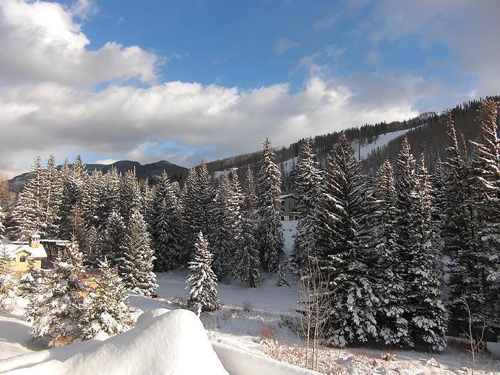 825 West Forest Road, Unit 14 Vail, CO 81657 - Photo 13 of 20 Additional Photo