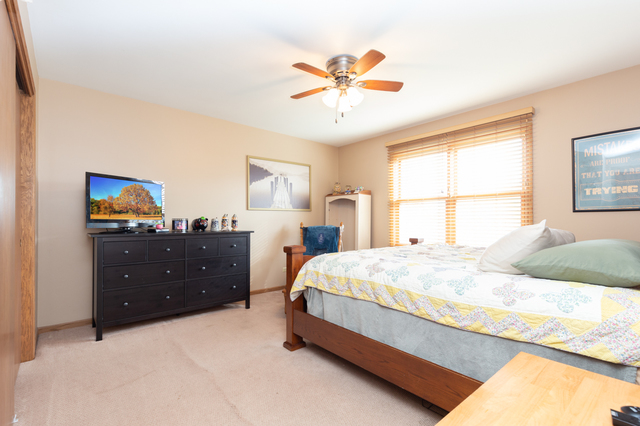 1116 East Delite Inn Road Beecher, IL 60401 - Photo 18 of 36