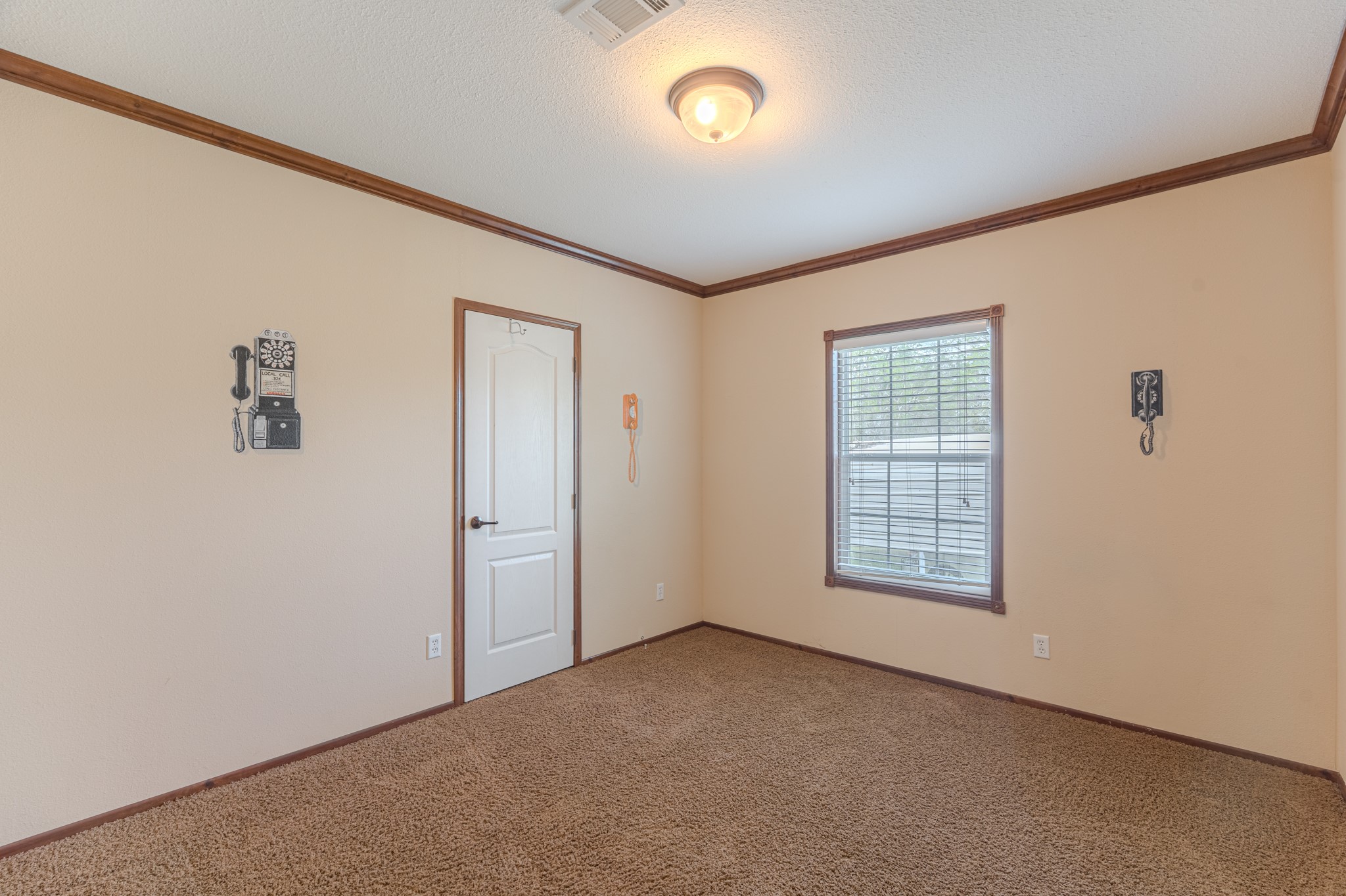 115 Canadian Drive Trinity, TX 75862 - Photo 17 of 41 Second bedroom features neutral walls with wood trim, carpet flooring, a window with blinds, and a ceiling light fixture.
