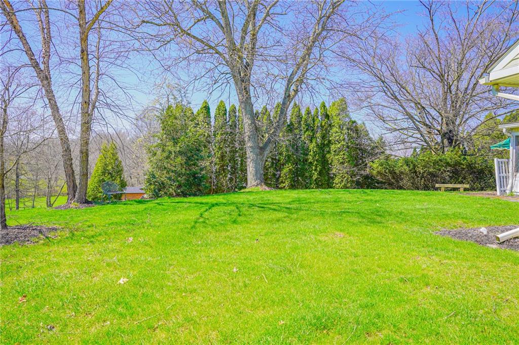 2913 North Mercer Street New Castle, PA 16105 - Photo 34 of 36 Back Yard