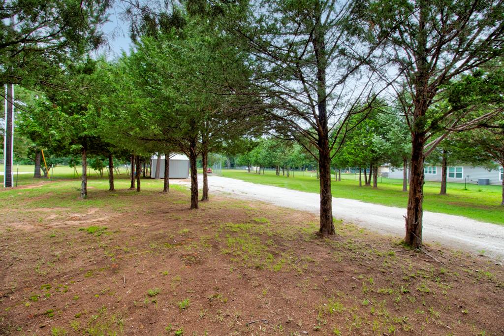 1469 Cedar Mills Road Gordonville, TX 76245 - Photo 5 of 12