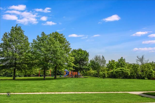 25216 Faraday Road Manhattan, IL 60442 - Photo 23 of 23 a view of a trees with a big yard