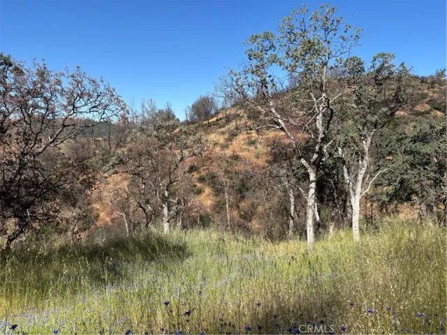 a view of a lake from a yard