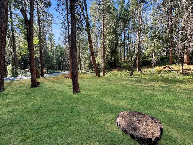 a backyard of a house with lots of green space