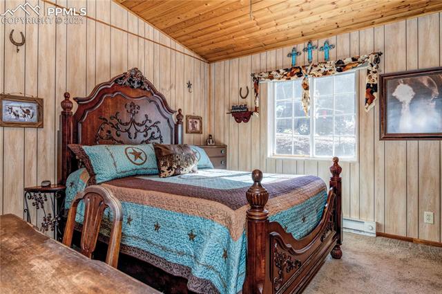 227 Beaver Pond Road Divide, CO 80814 - Photo 10 of 30 Gallery Image 10