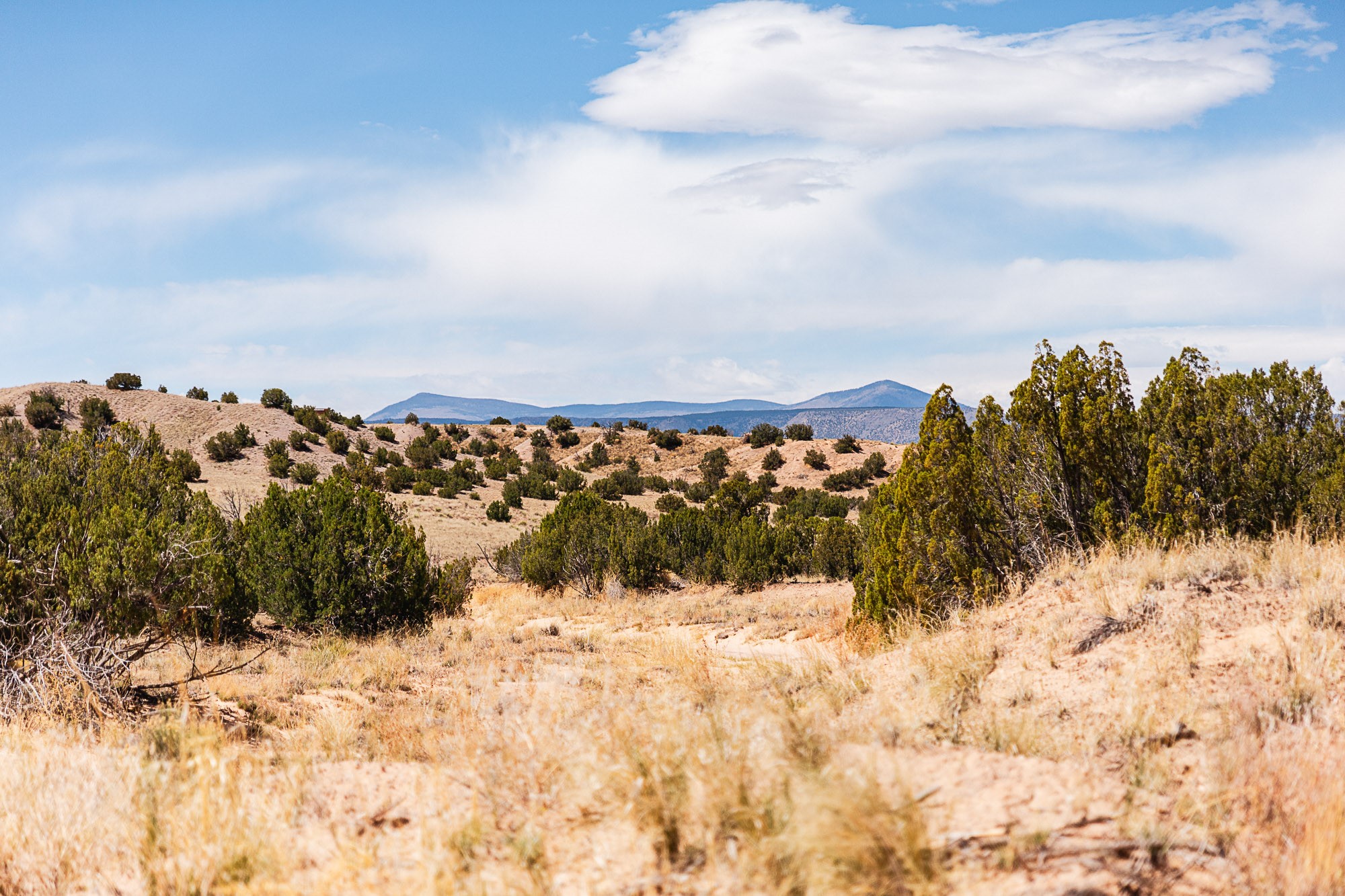 0 El Rito Estates Abiquiu, NM 87510 - Photo 3 of 56 Multiple easy build spots!
