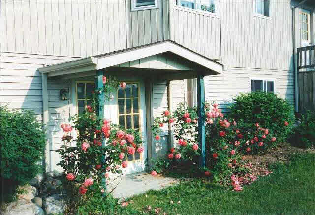 14145 North Center Road Clio, MI 48420 - Photo 54 of 66 20458297-53.JPG