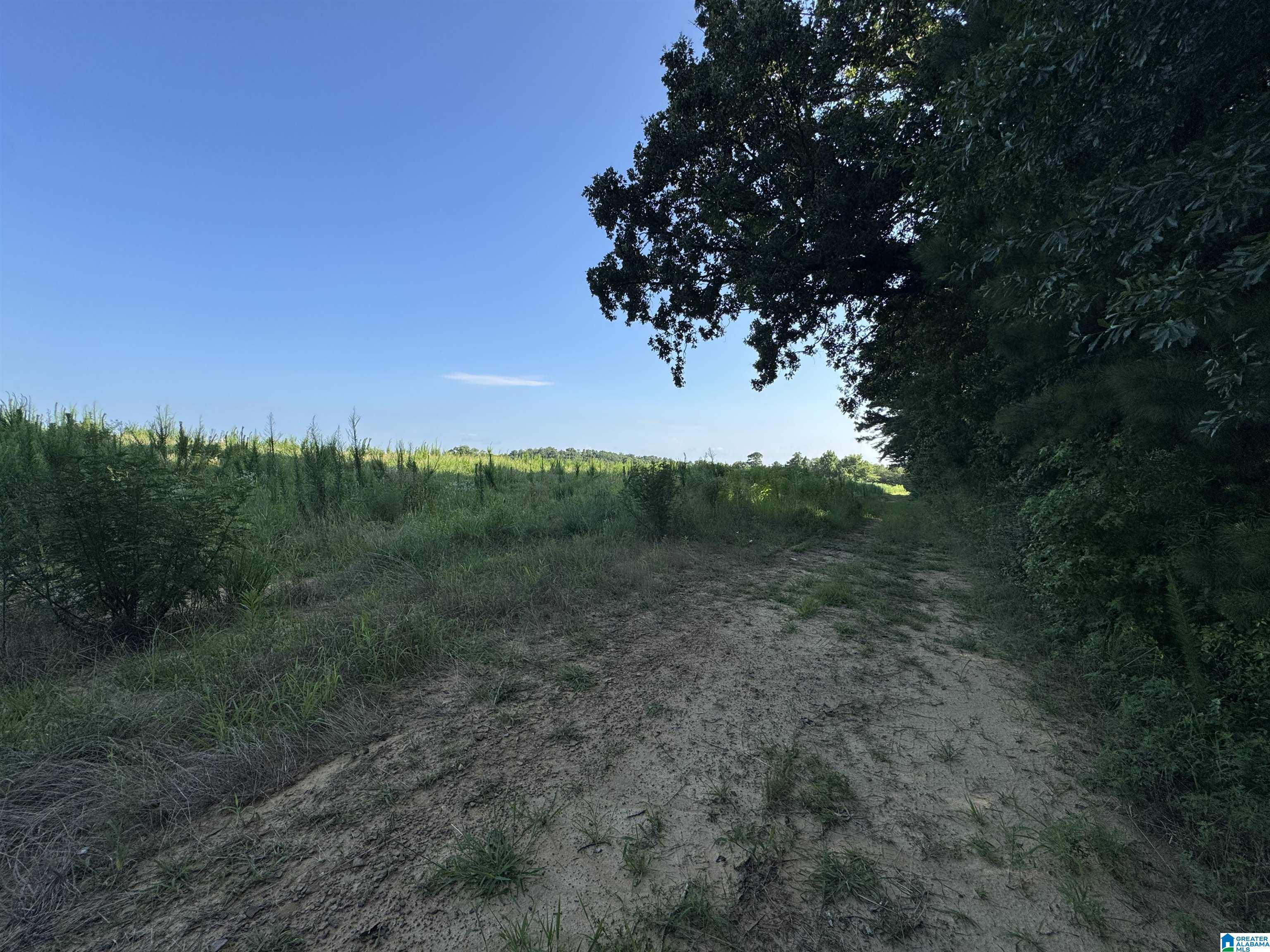 0 County Highway 27, Unit 47 Springville, AL 35146 - Photo 32 of 53