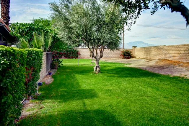 a view of a garden with a tree