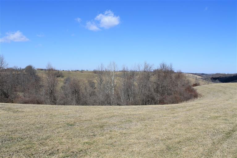 1 Nina Ridge Road Lancaster, KY 40444 - Photo 24 of 56 Photo 24