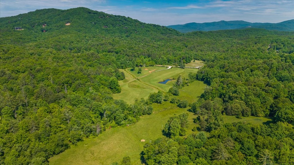 5260 Hardscrabble Road Mineral Bluff, GA 30559 - Photo 6 of 52