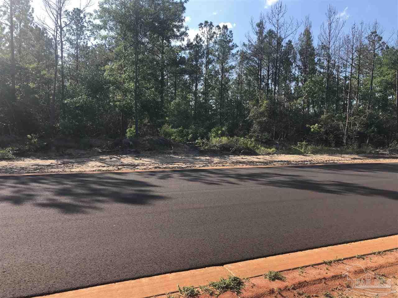 Lot 32-br Buffalo Ridge Road Pace, FL 32571 - Photo 1 of 6