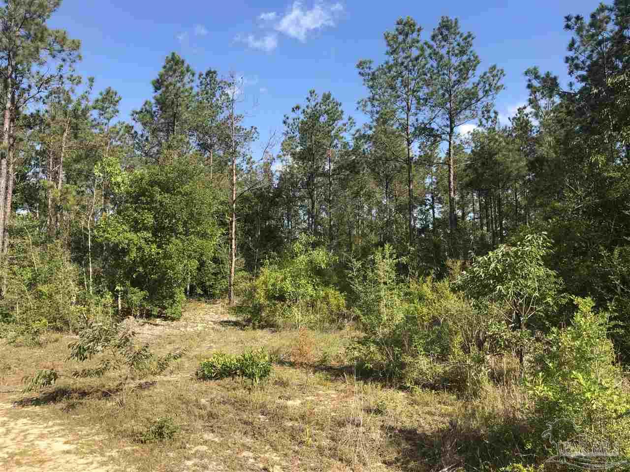 Lot 32-br Buffalo Ridge Road Pace, FL 32571 - Photo 2 of 6