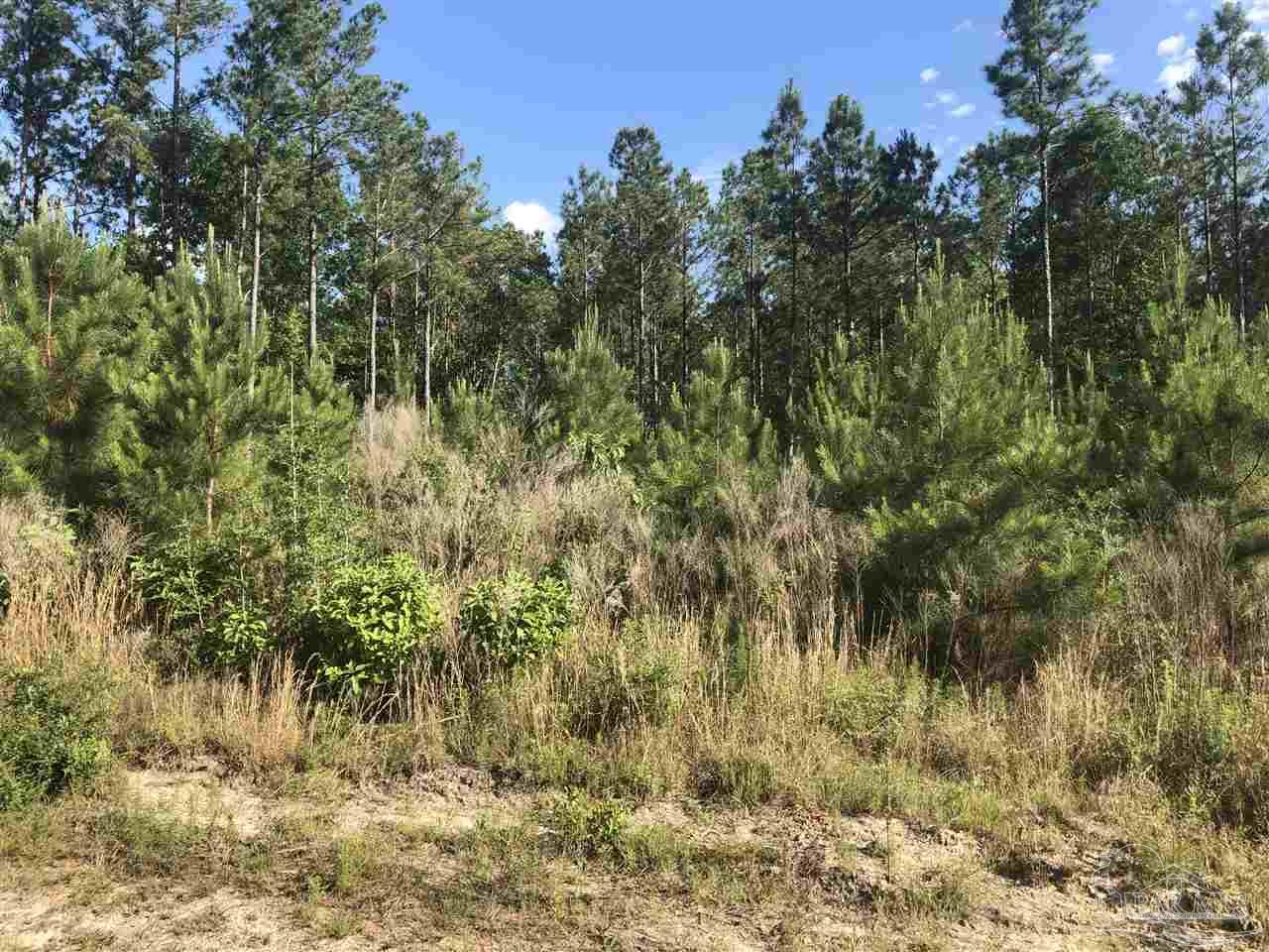 Lot 32-br Buffalo Ridge Road Pace, FL 32571 - Photo 3 of 6
