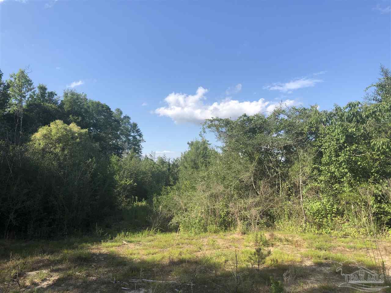 Lot 32-br Buffalo Ridge Road Pace, FL 32571 - Photo 4 of 6