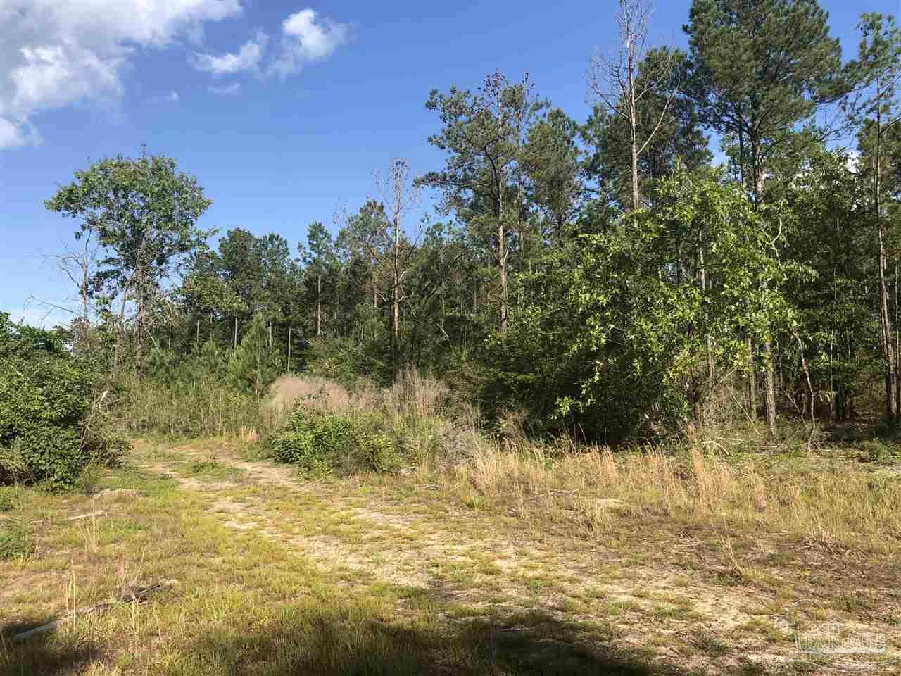 Lot 32-br Buffalo Ridge Road Pace, FL 32571 - Photo 5 of 6