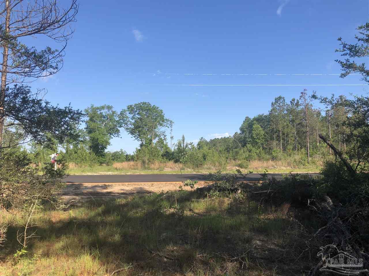 Lot 32-br Buffalo Ridge Road Pace, FL 32571 - Photo 6 of 6