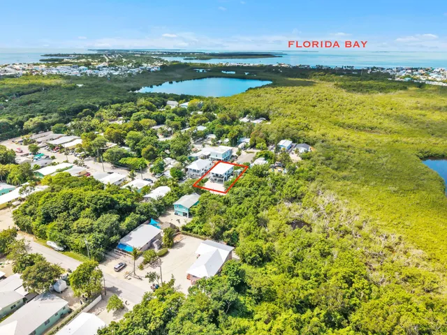 an aerial view of a house with a yard and lake view