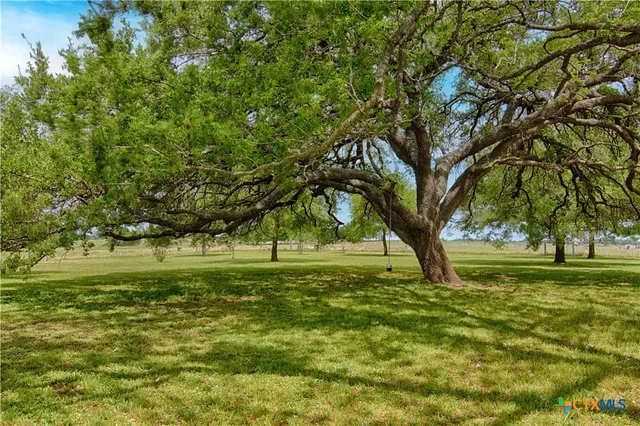 a big yard with lots of green space and trees in the back