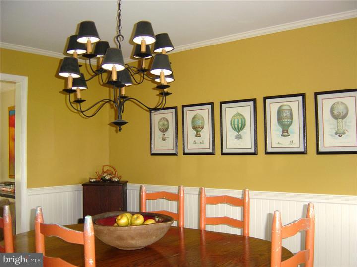 207 Spring Run Lane Downingtown, PA 19335 - Photo 9 of 20 Gallery Image 9