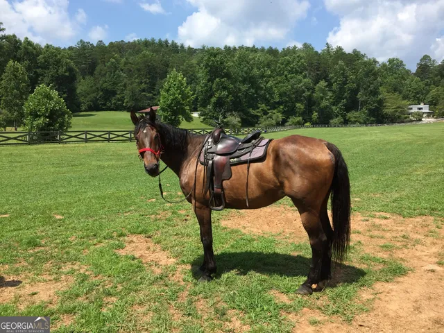 a dining room with furniture water view and a large window