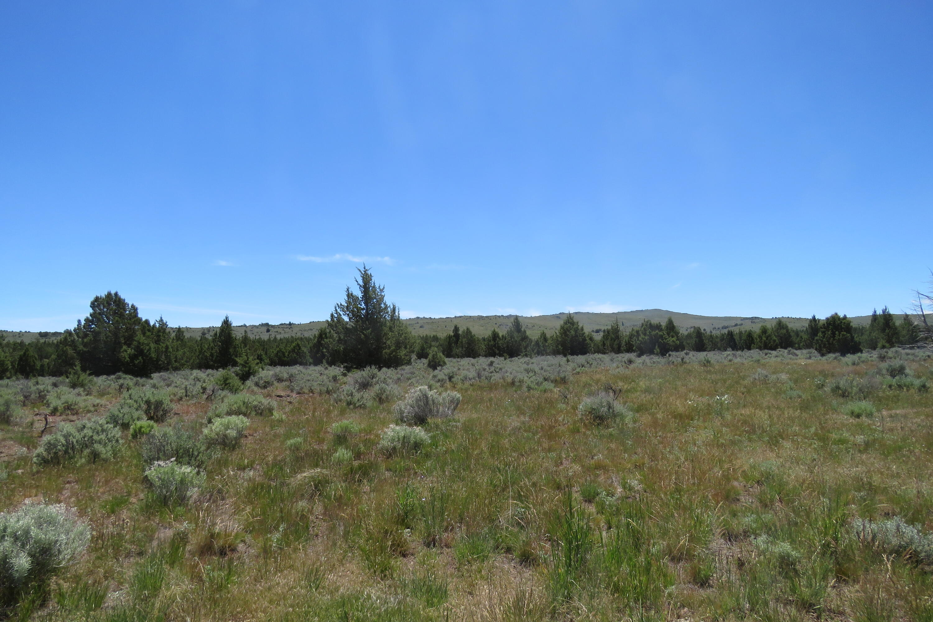 60 County Road Likely, CA 96116 - Photo 26 of 29 22 McGarva BLM permit pics