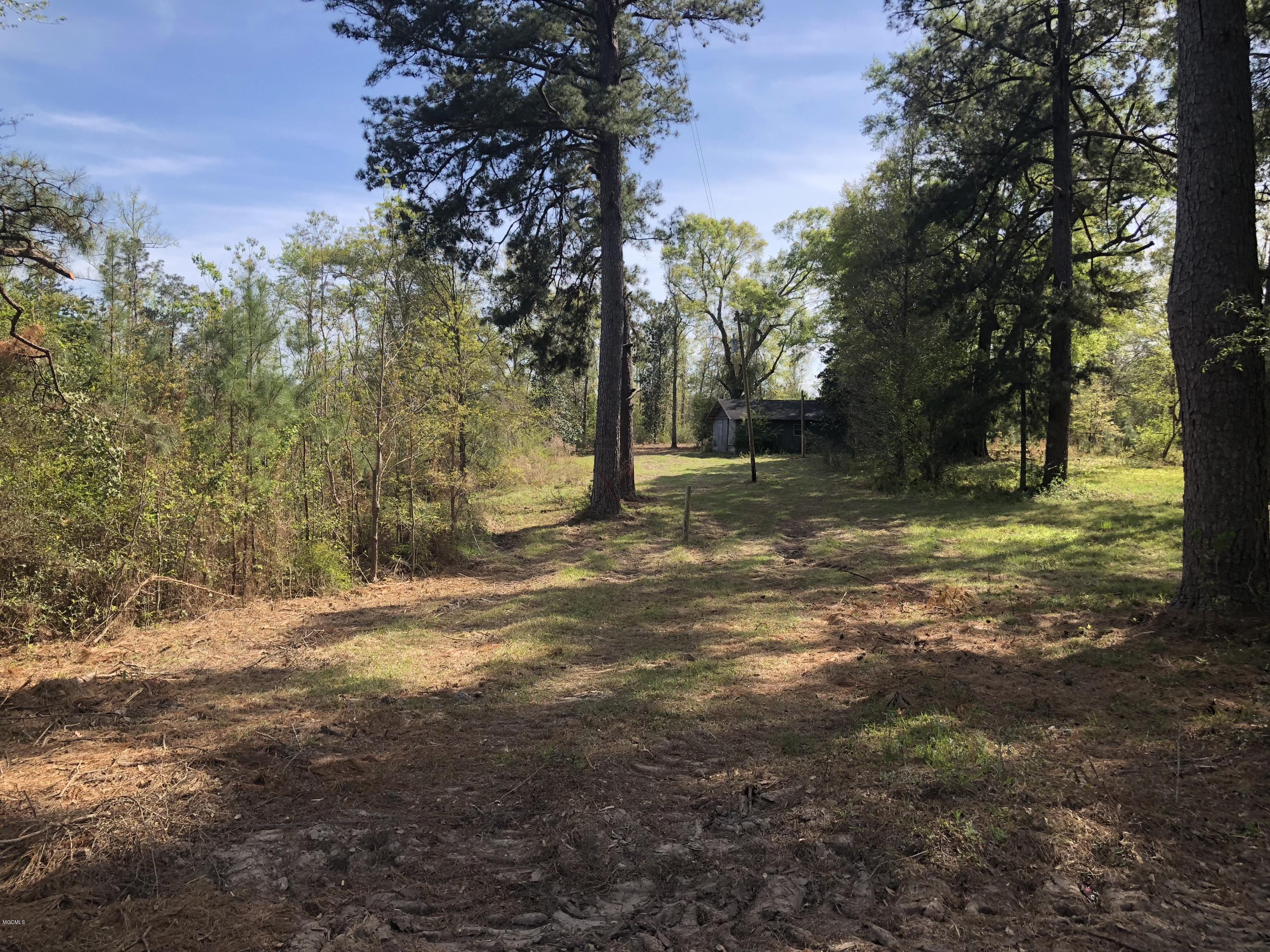 197 Carl Taylor Road Wiggins, MS 39577 - Photo 1 of 7 IMG_5731
