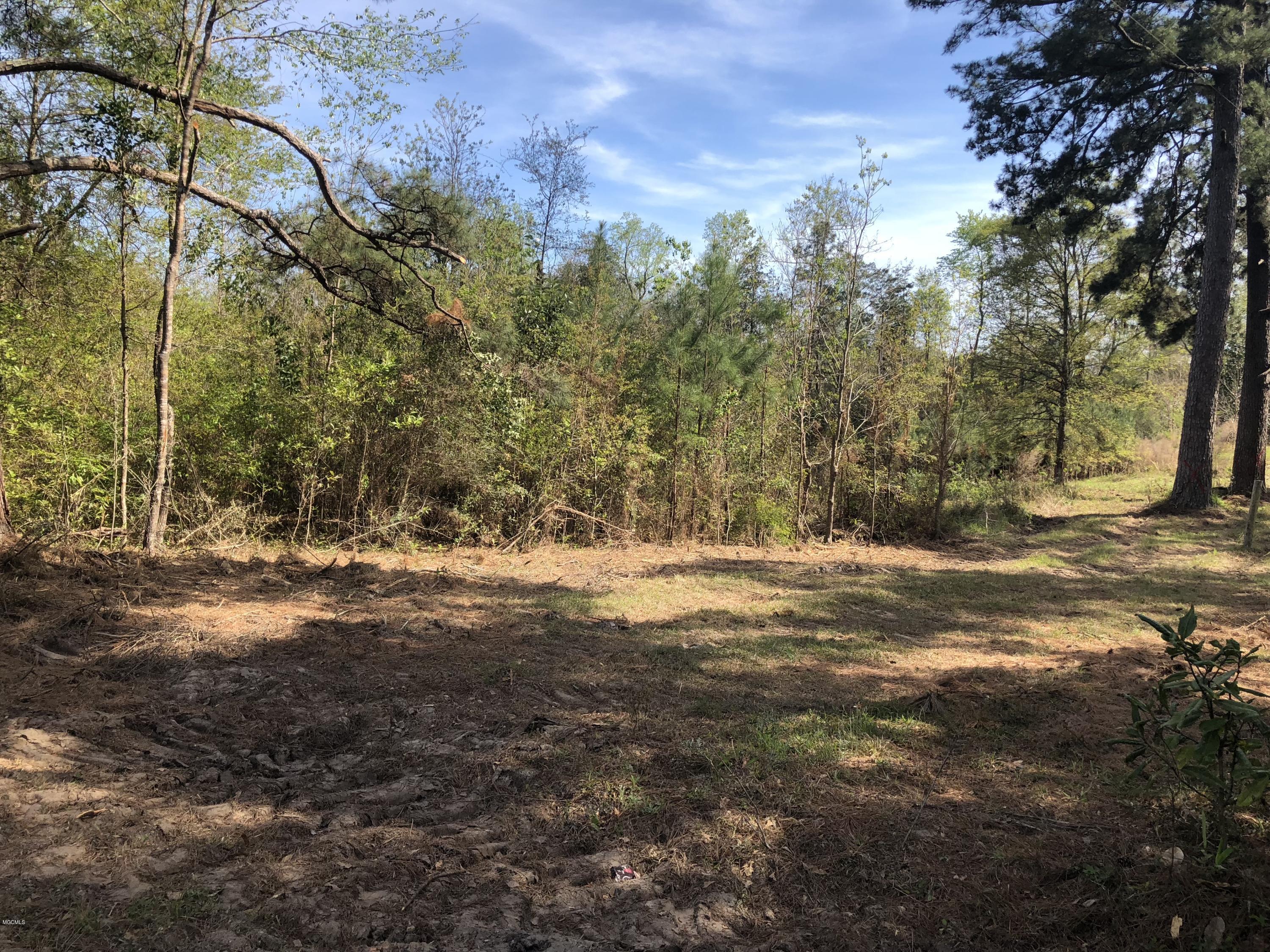 197 Carl Taylor Road Wiggins, MS 39577 - Photo 3 of 7 IMG_5733