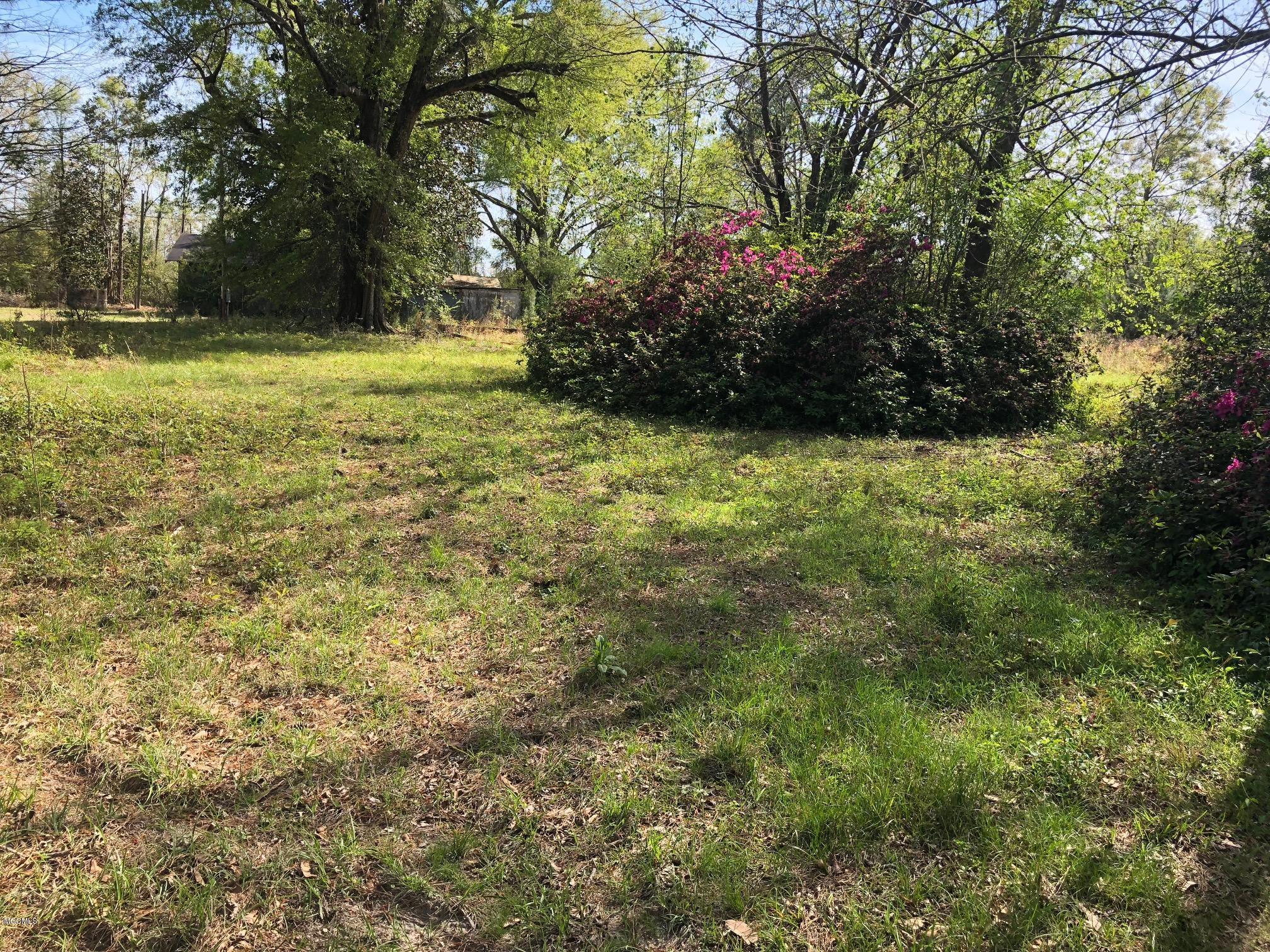 197 Carl Taylor Road Wiggins, MS 39577 - Photo 6 of 7 IMG_5736