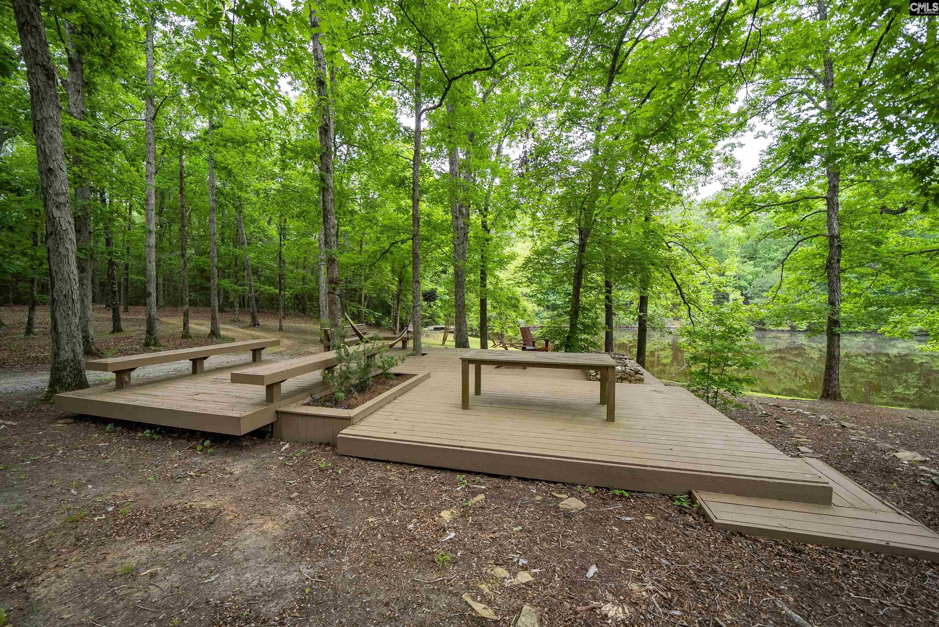 150 Four Foxes Lane Chapin, SC 29036 - Photo 75 of 82