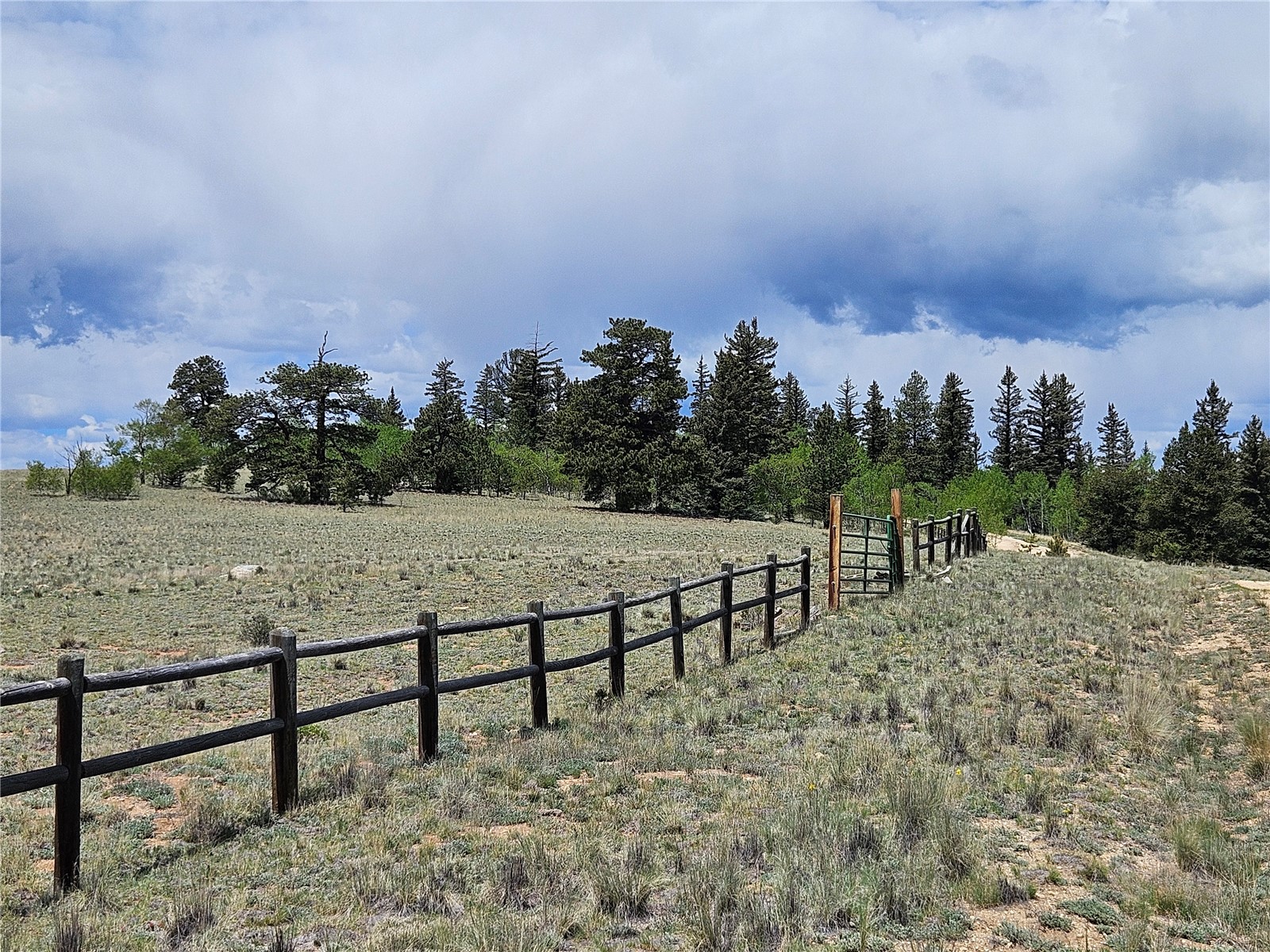412 Smith And Wesson Road Como, CO 80432 - Photo 9 of 50