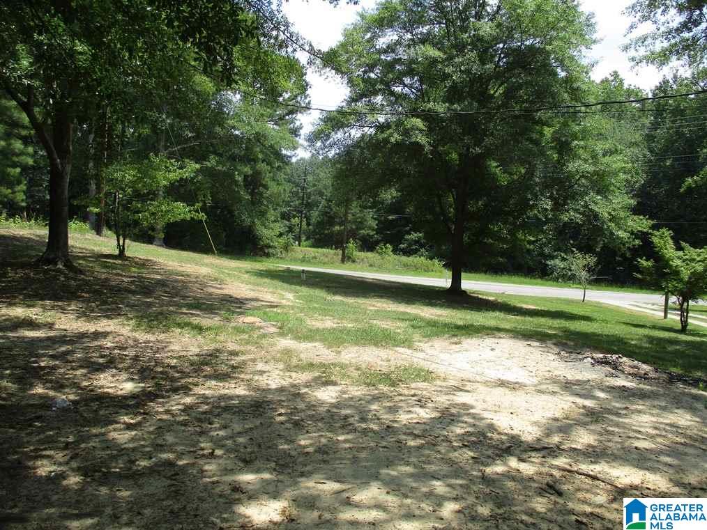 3315 Pine Mountain Road Remlap, AL 35133 - Photo 13 of 20