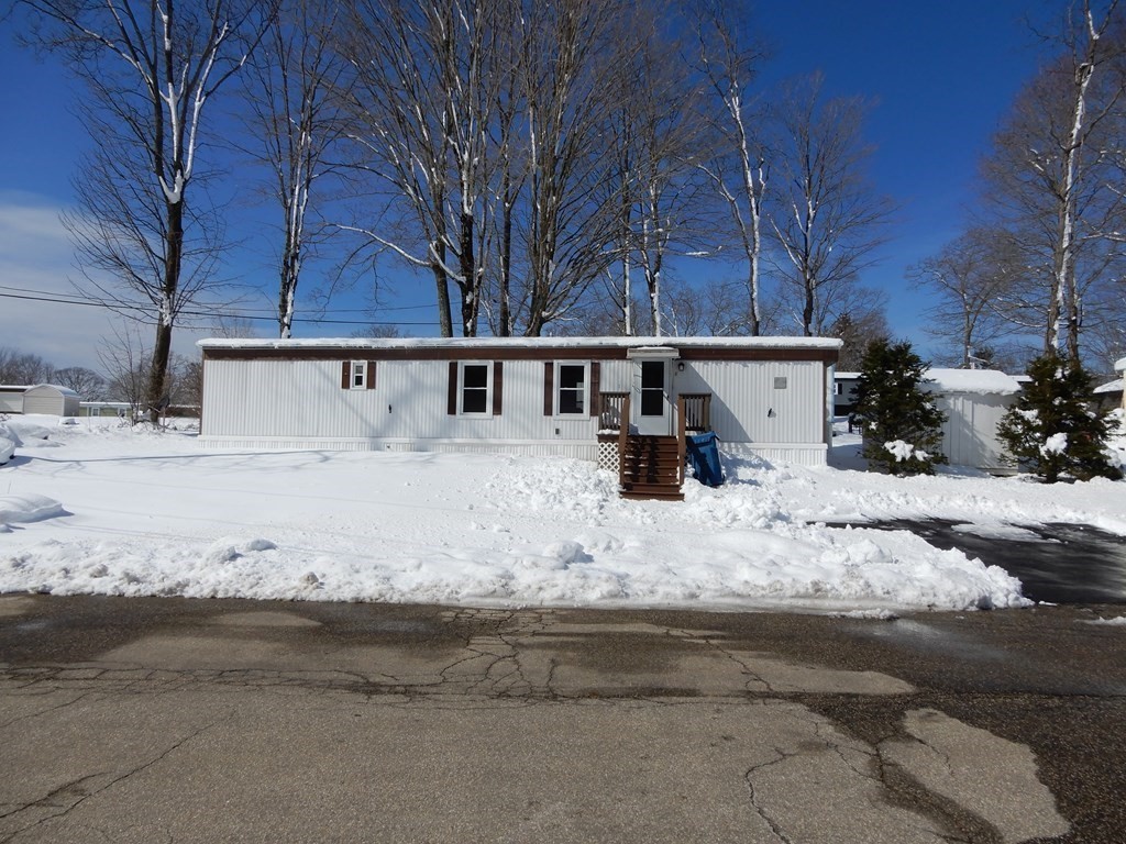 a view of yard with large tree