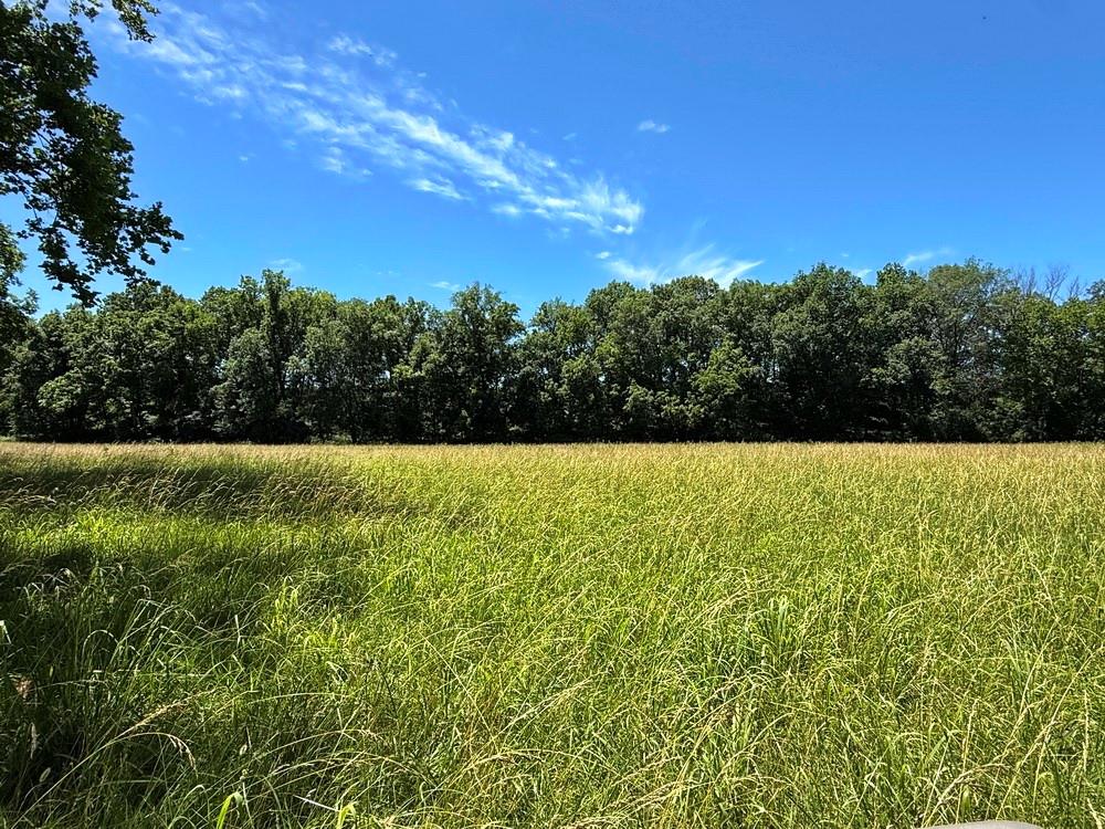 Tbd South 363 Road El Dorado Springs, MO 64744 - Photo 25 of 46