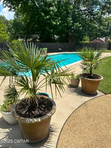 a view of a swimming pool with a potted plants