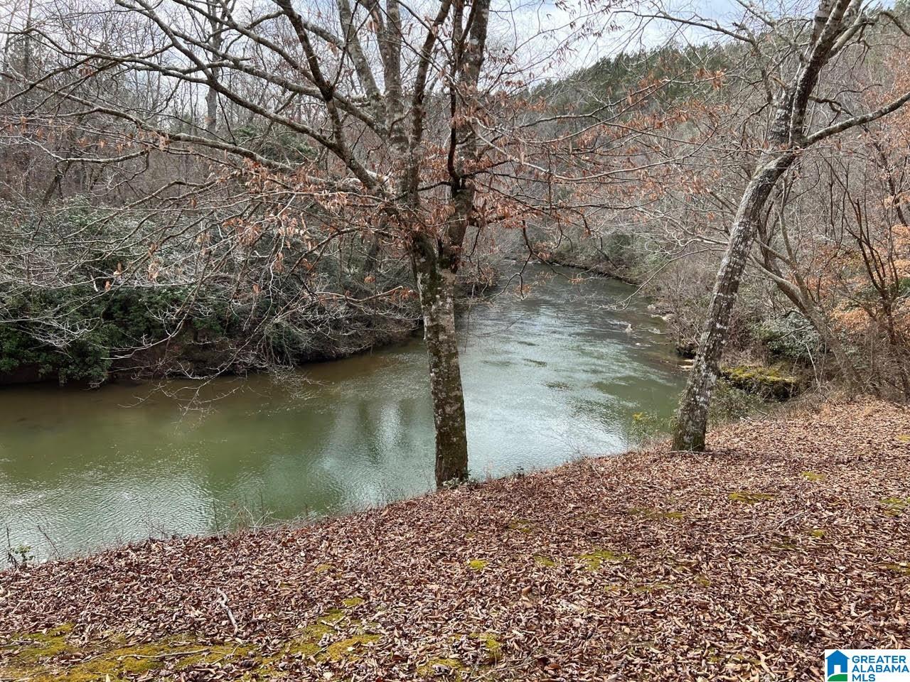 Plyers Mill Road, Unit 43 Alexander City, AL 35010 - Photo 23 of 27