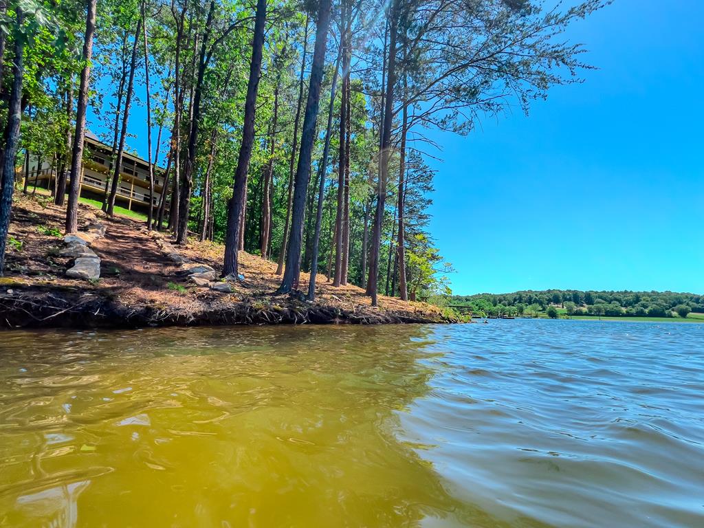 313 Walnut Road Blairsville, GA 30512 - Photo 16 of 75