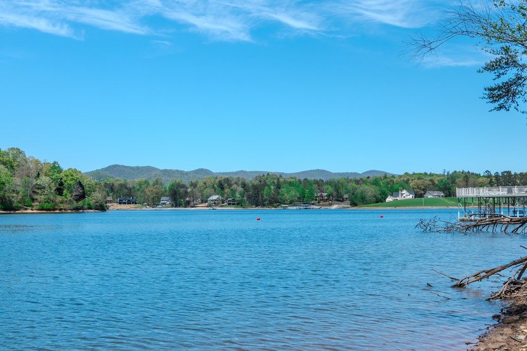 313 Walnut Road Blairsville, GA 30512 - Photo 39 of 75