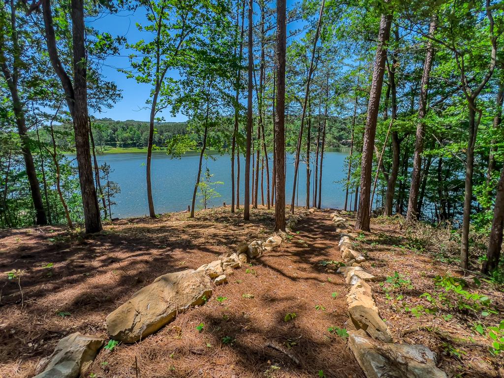 313 Walnut Road Blairsville, GA 30512 - Photo 59 of 75