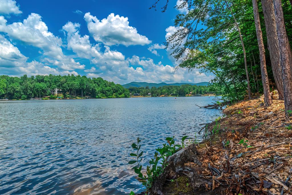 313 Walnut Road Blairsville, GA 30512 - Photo 60 of 75