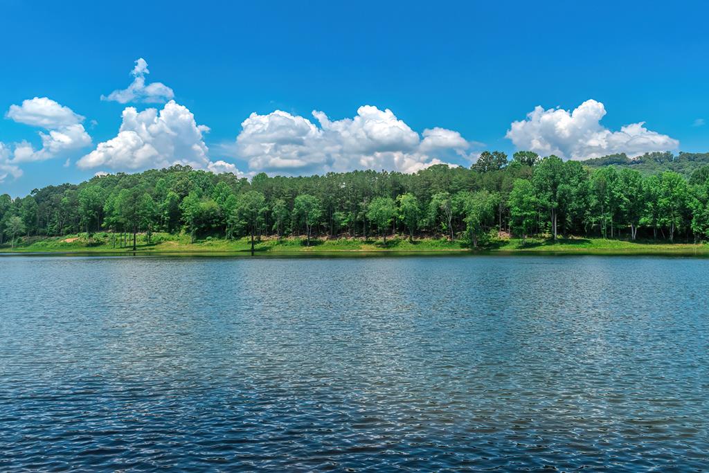 313 Walnut Road Blairsville, GA 30512 - Photo 61 of 75