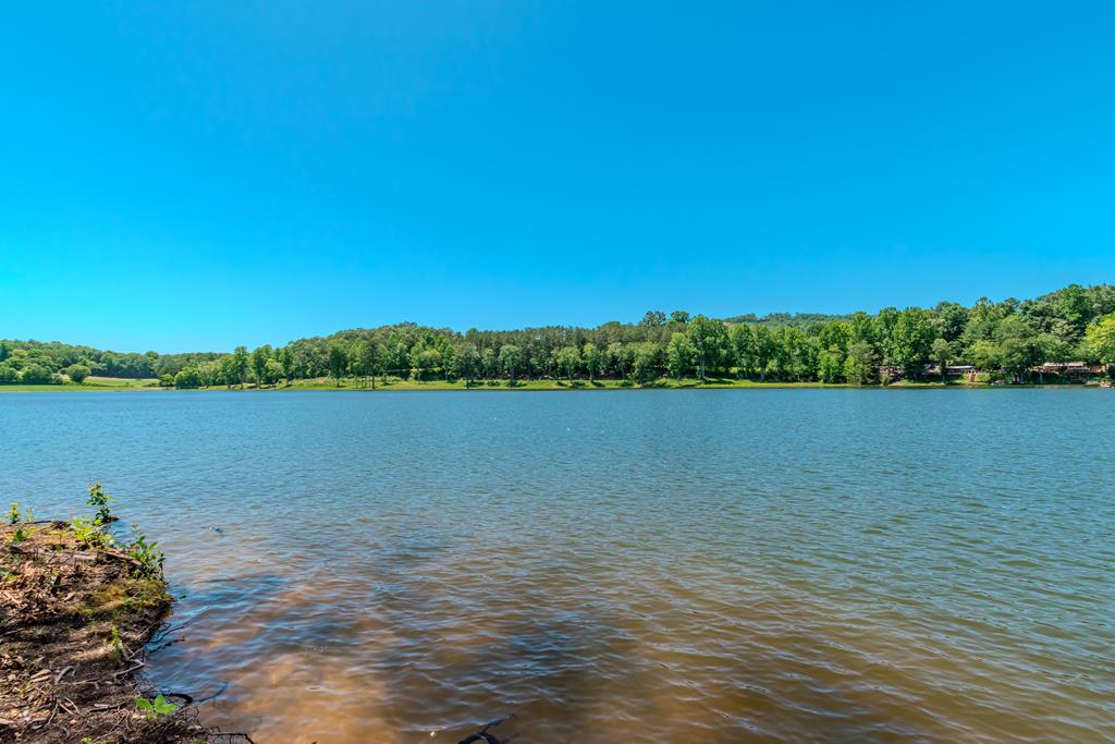 313 Walnut Road Blairsville, GA 30512 - Photo 62 of 75