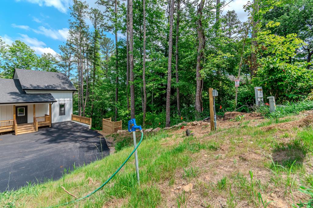 313 Walnut Road Blairsville, GA 30512 - Photo 76 of 85 Gallery Image 76