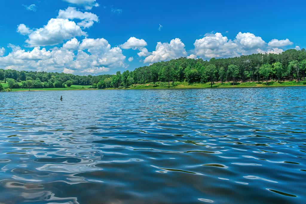 313 Walnut Road Blairsville, GA 30512 - Photo 10 of 75