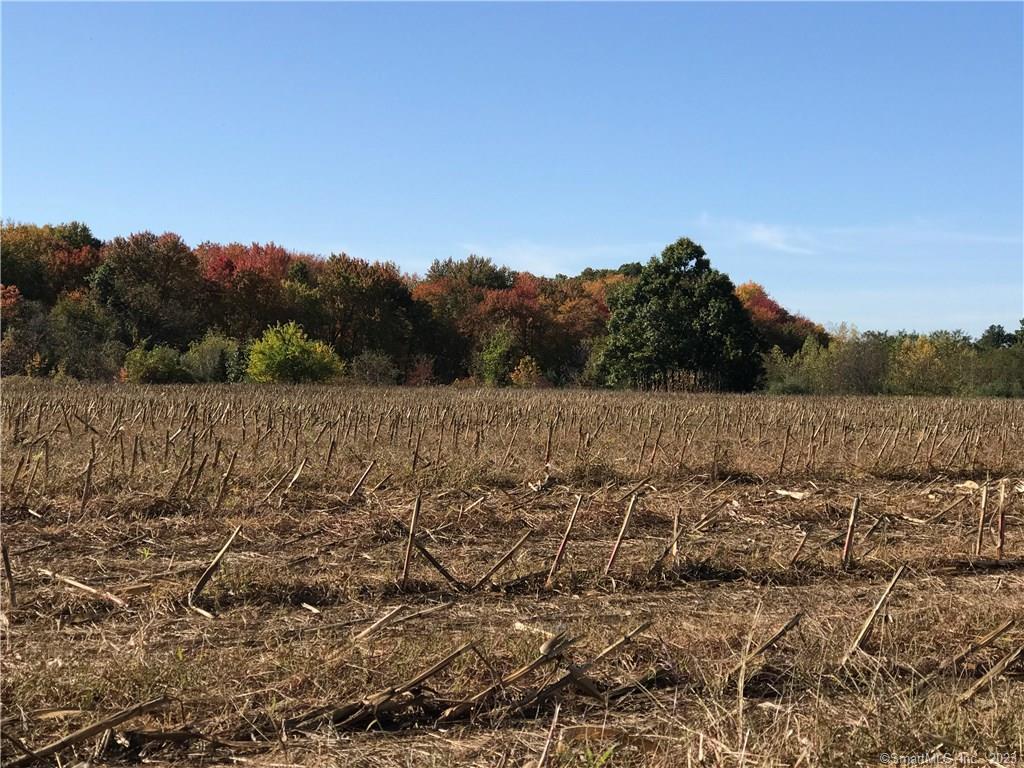 81 Windsorville Road East Windsor, CT 06016 - Photo 1 of 1