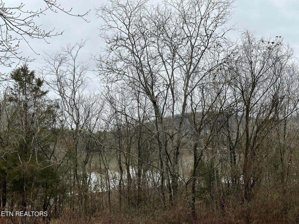 363 Enigma Road Chestnut Mound, TN 38552 - Photo 40 of 60