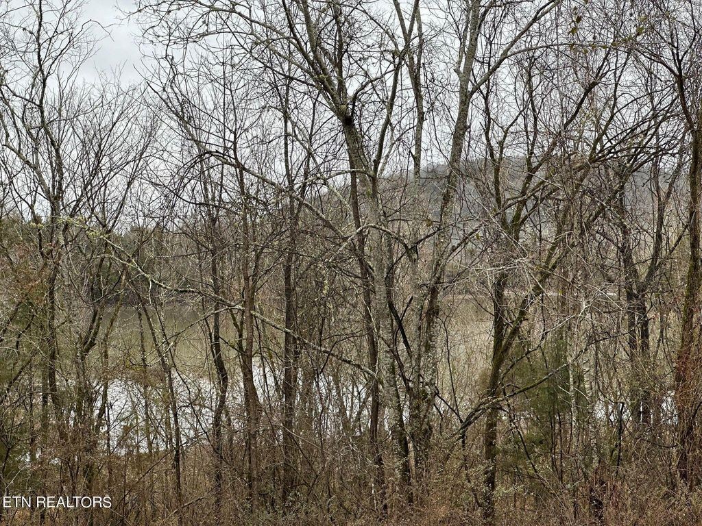 363 Enigma Road Chestnut Mound, TN 38552 - Photo 4 of 60