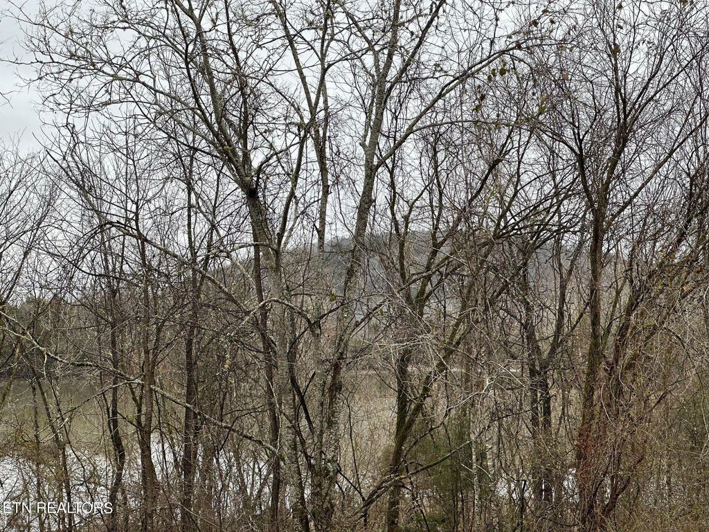 363 Enigma Road Chestnut Mound, TN 38552 - Photo 5 of 60 outdoor view