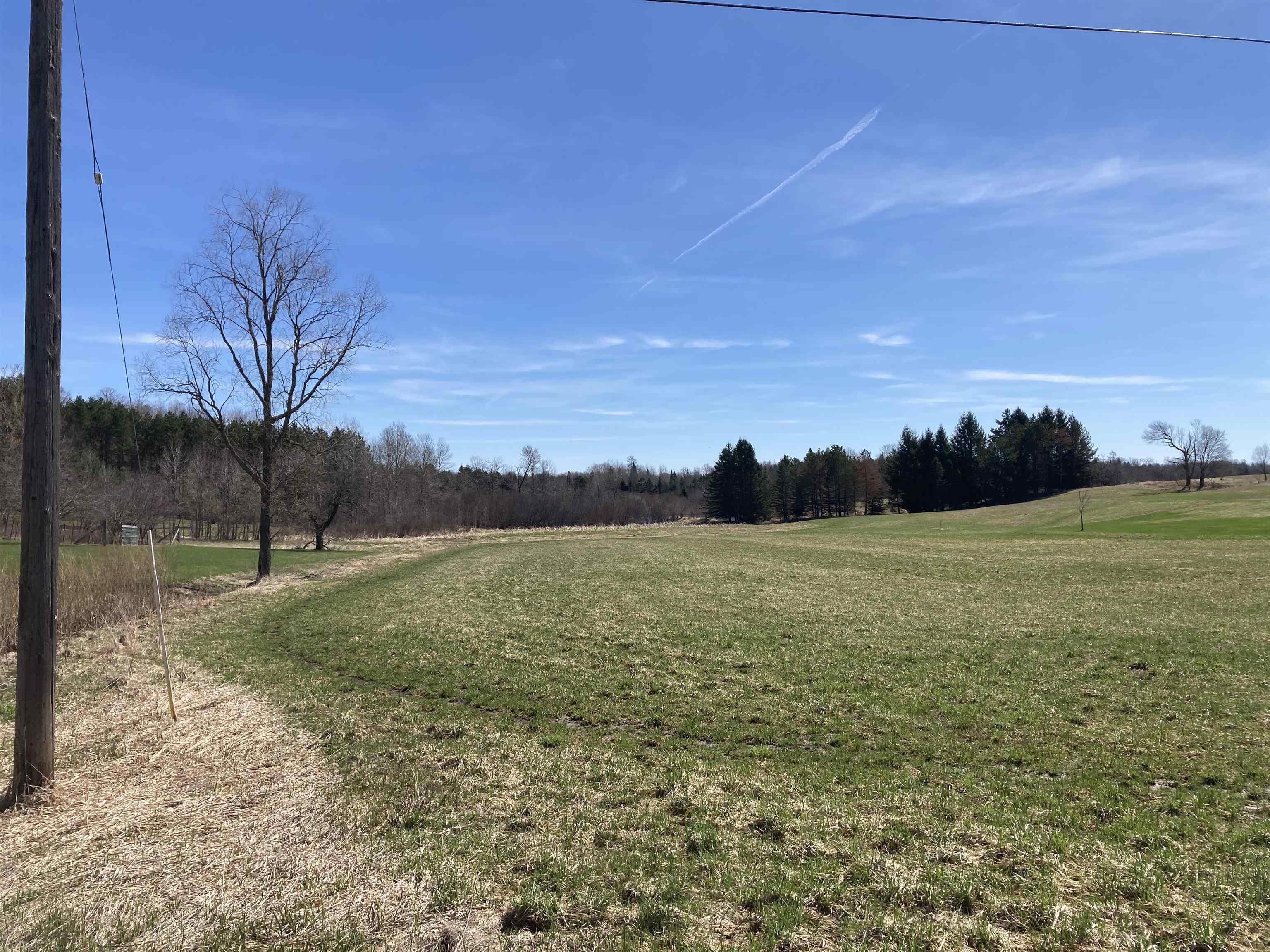 3450 Reasner Road Rose City, MI 48654 - Photo 13 of 87