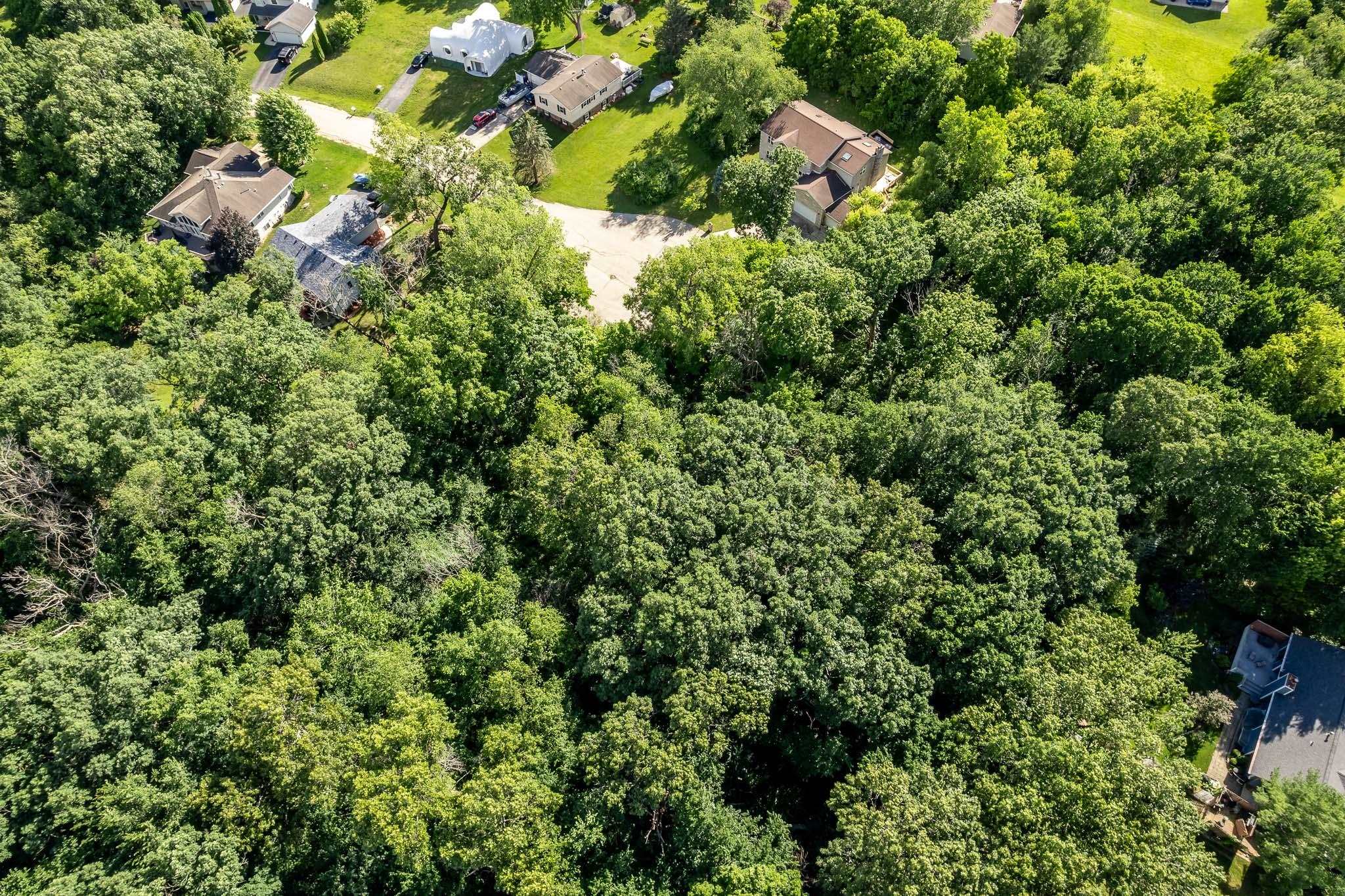 217 New Forest Road Southwest Poplar Grove, IL 61065 - Photo 4 of 4